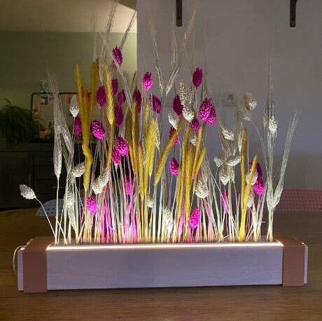 AURA - mon bar à fleurs séchées lumineux Potagers Prêt à Pousser 🇫🇷 Potager d&#39;intérieur