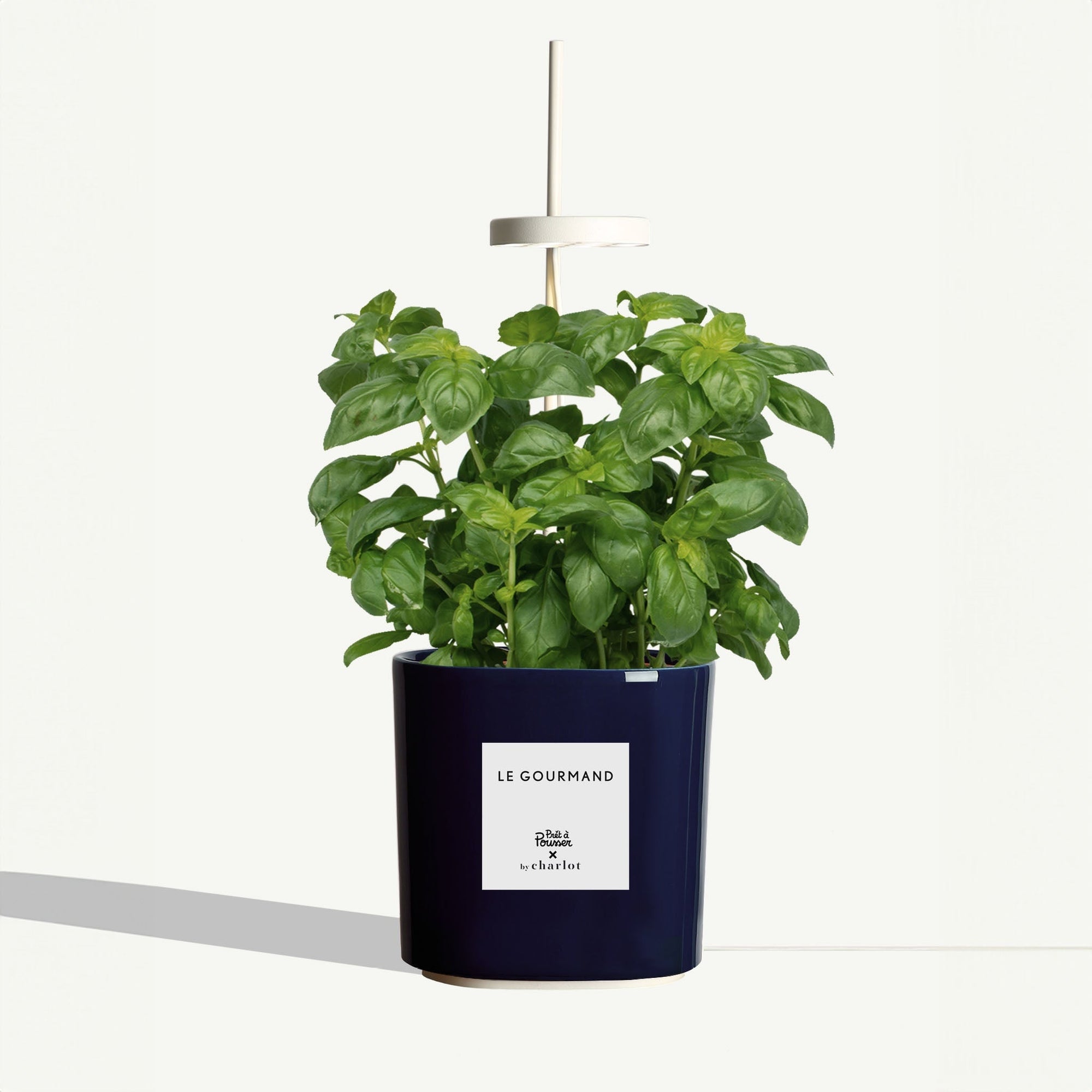 J'ai testé : planter mon mini jardin d'intérieur avec Lilo de Prêt-à-Pousser  – Sweet and Sour