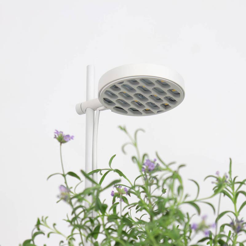 Luminaire Nano Garden Accessoires Prêt à Pousser Potager d&#39;intérieur