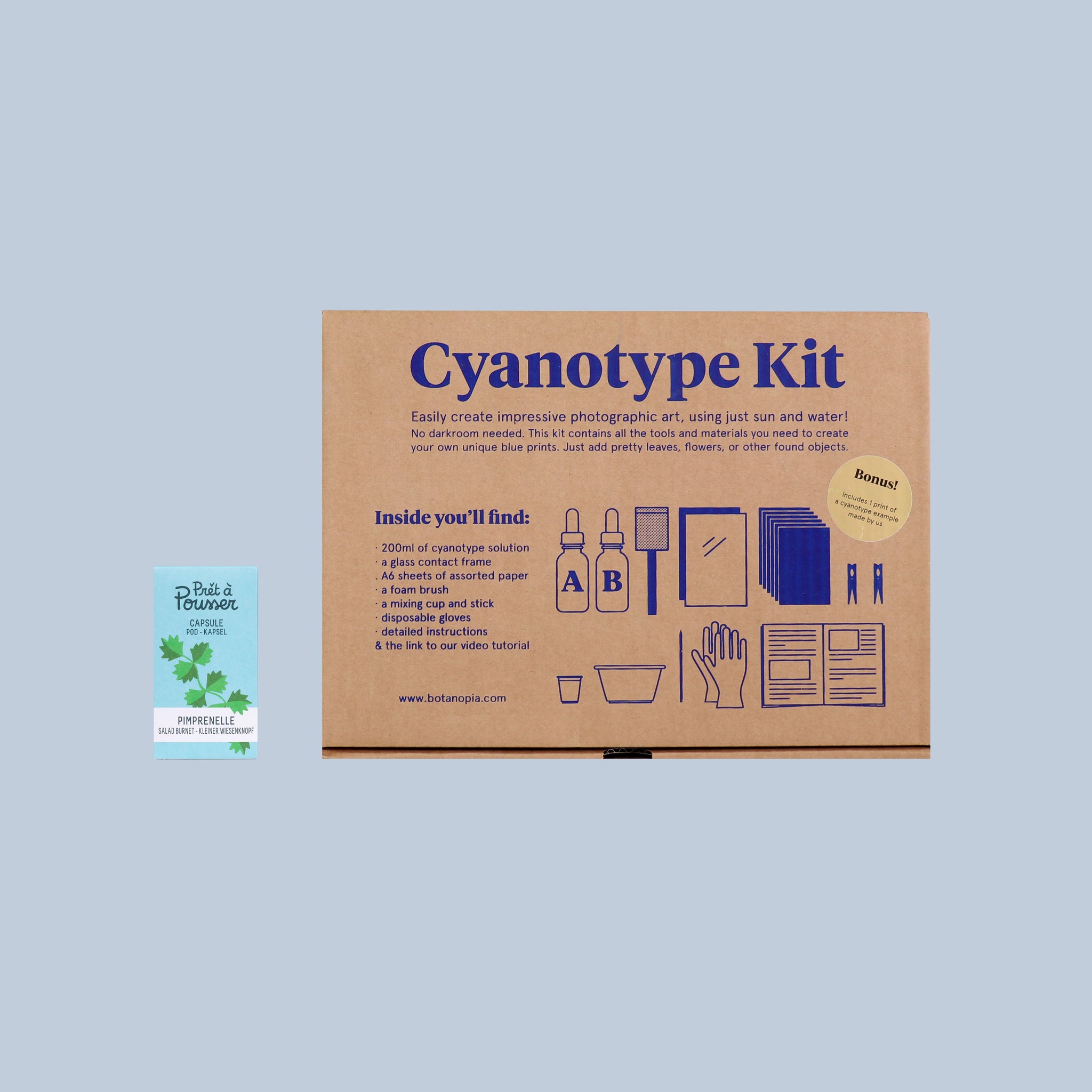 Le coffret Cyanotype – notre kit complet pour réaliser de superbes